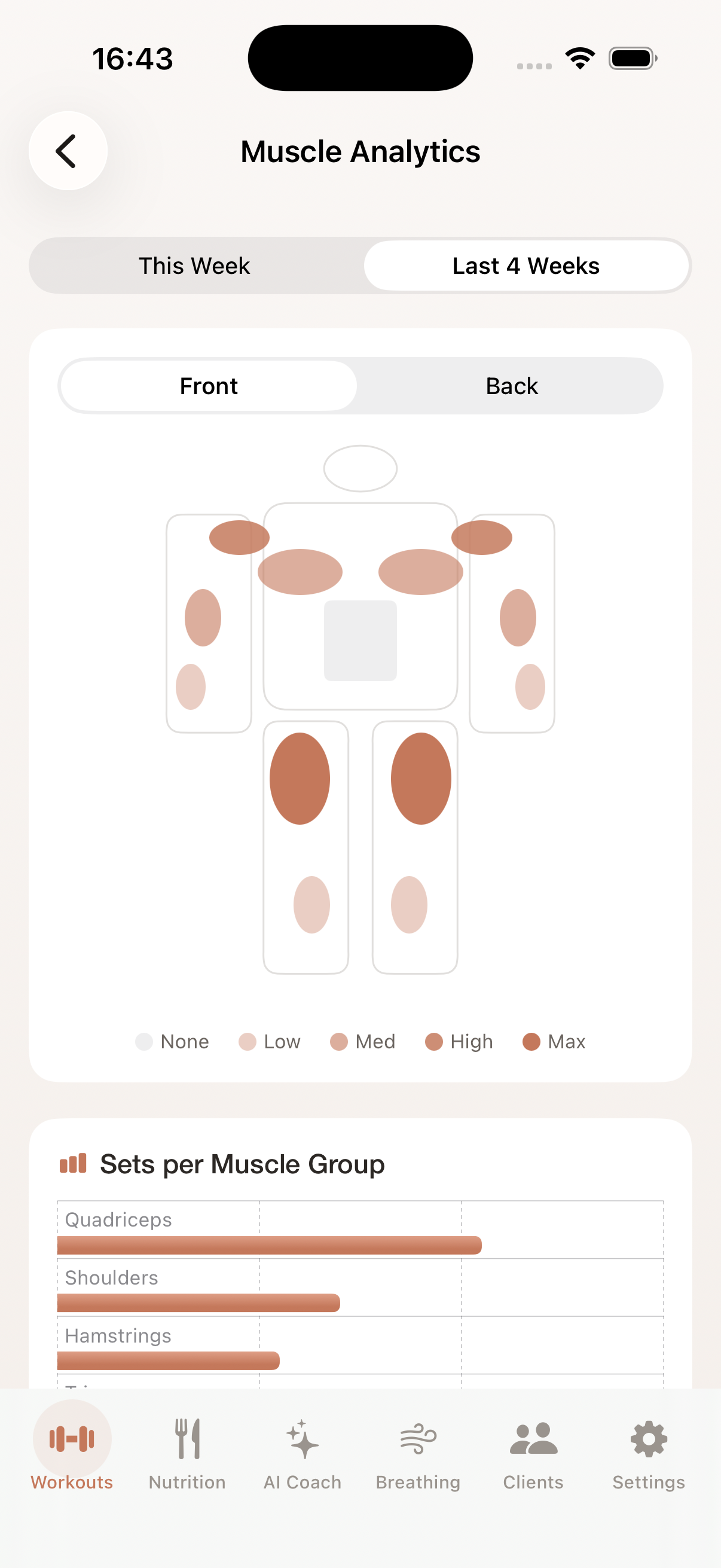 Muscle Groups